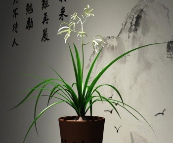 现代新中式室内盆栽兰花3D模型