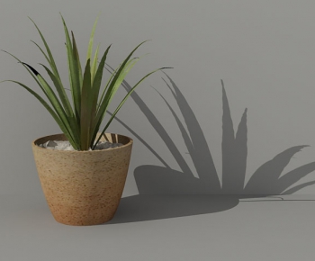 Modern Potted Green Plant-ID:767901451
