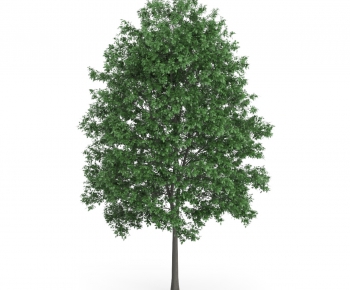 Modern Tree/shrub/grass-ID:656495618