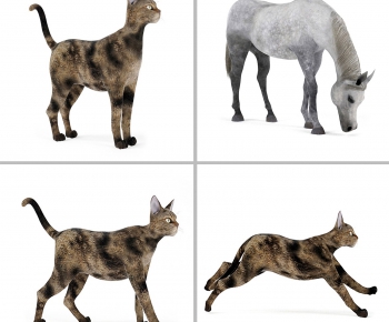Modern Animal Cat-ID:701614795