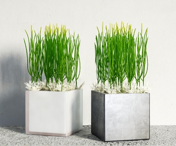 Modern Potted Green Plant-ID:975766645