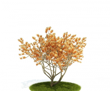 Modern Tree/shrub/grass-ID:609351662