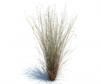 Modern Tree/shrub/grass-ID:728986628