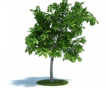 Modern Tree/shrub/grass-ID:636674177