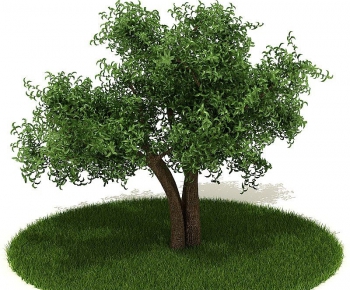 Modern Tree/shrub/grass-ID:901016923