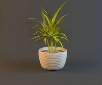 Modern Potted Green Plant-ID:868453376