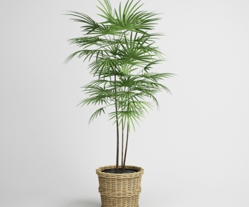 Modern Potted Green Plant-ID:707450325