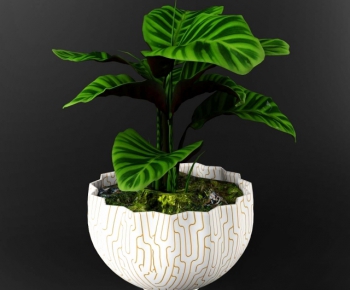 Modern Potted Green Plant-ID:416445419