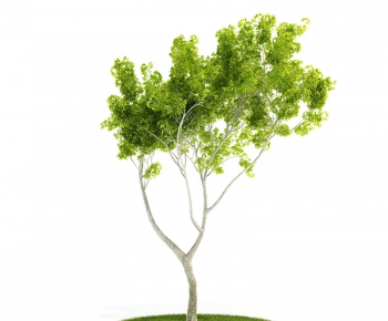 Modern Tree/shrub/grass-ID:657045199