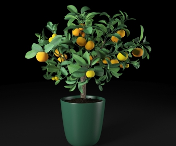 Modern Potted Green Plant-ID:807289387
