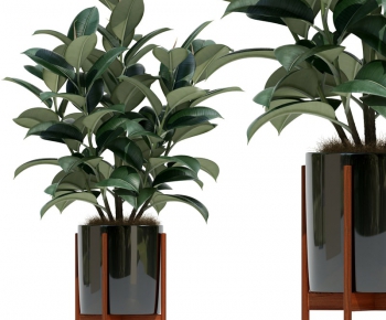 Modern Potted Green Plant-ID:358561813