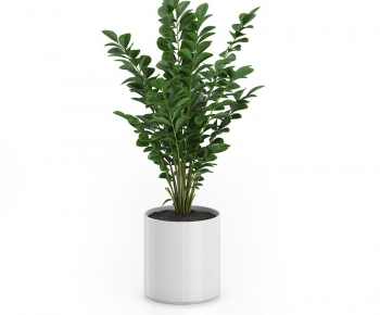 Modern Potted Green Plant-ID:934257775
