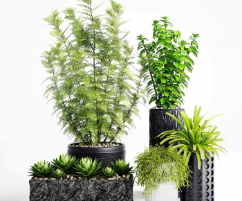 Modern Potted Green Plant-ID:975302841