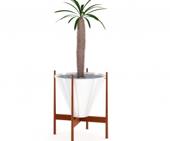 Modern Potted Green Plant-ID:504986636