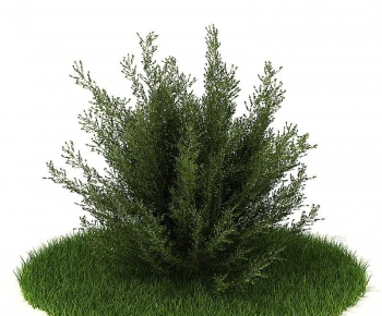 Modern Tree/shrub/grass-ID:920111913