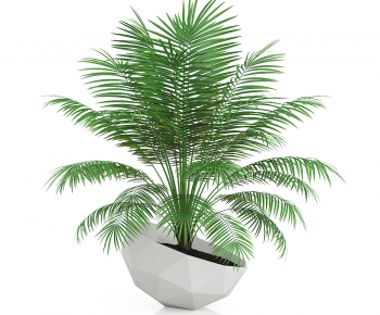 Modern Potted Green Plant-ID:100644556