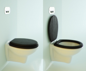 Modern Toilet-ID:144030669