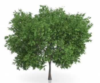 Modern Tree/shrub/grass-ID:282979686