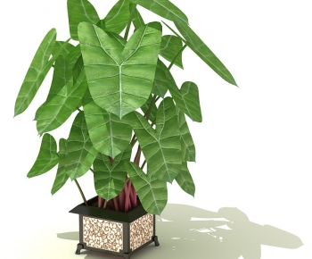 Modern Potted Green Plant-ID:315832514