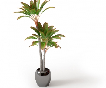 Modern Potted Green Plant-ID:353851325