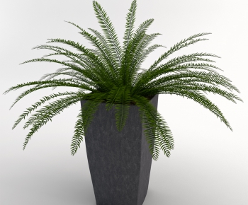 Modern Potted Green Plant-ID:894519931