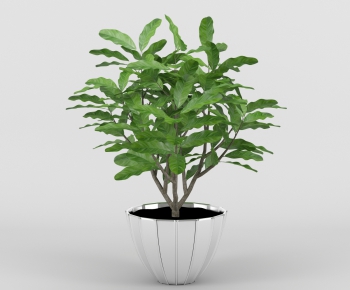 Modern Potted Green Plant-ID:389971673