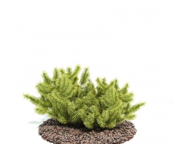 Modern Tree/shrub/grass-ID:420050555