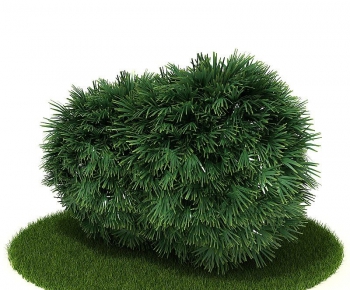 Modern Tree/shrub/grass-ID:729965918