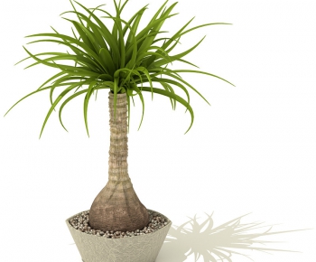 Modern Potted Green Plant-ID:639293577