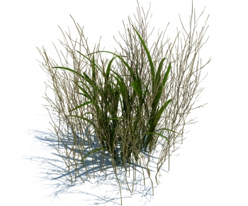 Modern Tree/shrub/grass-ID:717561619