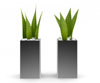 Modern Potted Green Plant-ID:791456544
