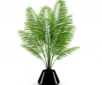 Modern Potted Green Plant-ID:908958293