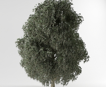 Modern Tree-ID:612646961