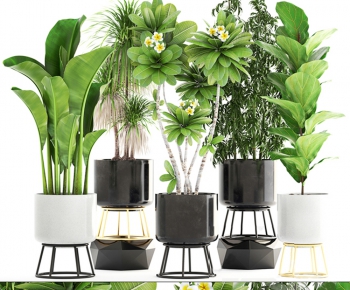Modern Nordic Style Potted Green Plant-ID:910062523