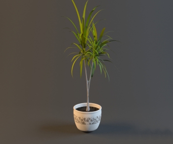 Modern Potted Green Plant-ID:381920866
