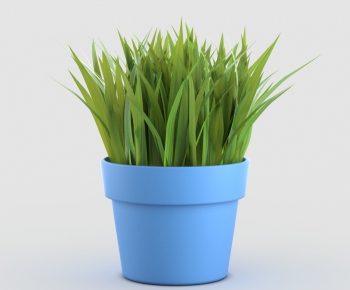 Modern Potted Green Plant-ID:531258775