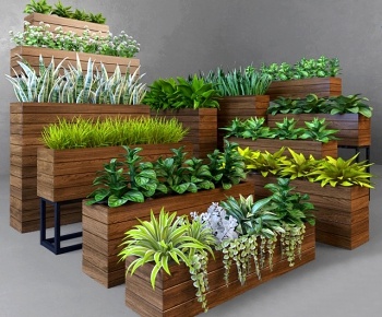 现代绿植盆栽灌木3D模型