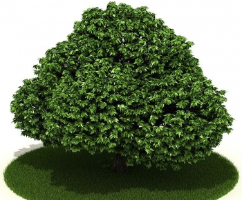 Modern Tree/shrub/grass-ID:866885579
