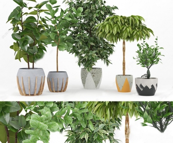 Modern Nordic Style Potted Green Plant-ID:494121552