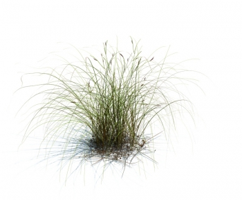 Modern Tree/shrub/grass-ID:129242133