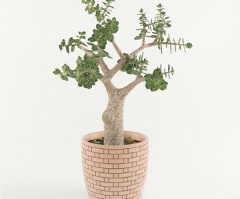 Modern Potted Green Plant-ID:580319782