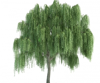 Modern Tree/shrub/grass-ID:313664764