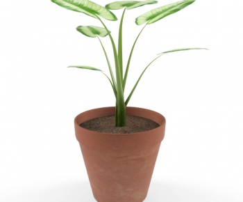 Modern Potted Green Plant-ID:477855474