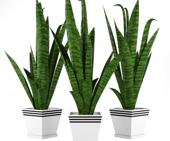 Modern Potted Green Plant-ID:330559211