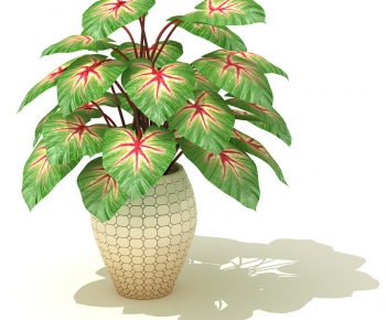 Modern Potted Green Plant-ID:455102651