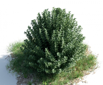 Modern Tree/shrub/grass-ID:938219689