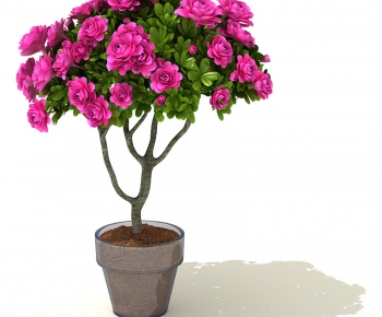 Modern Potted Green Plant-ID:623257197