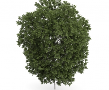 Modern Tree/shrub/grass-ID:155686414