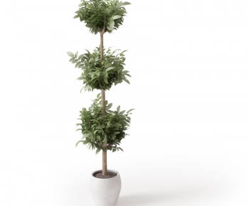 Modern Potted Green Plant-ID:500993123