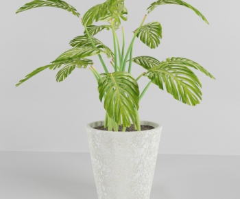Modern Potted Green Plant-ID:221646167